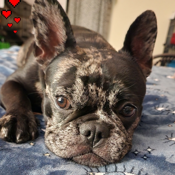 Meet your Seller Sandy 🐈⬛ - Picture 15 of 16